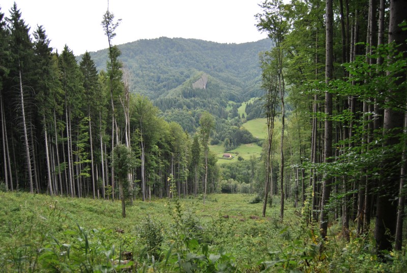 pepajs.cz